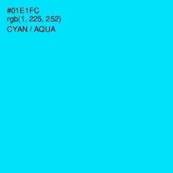 #01E1FC - Cyan / Aqua Color Image