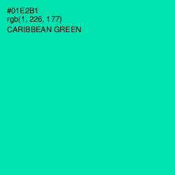 #01E2B1 - Caribbean Green Color Image