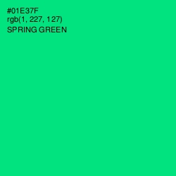 #01E37F - Spring Green Color Image