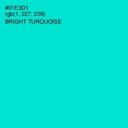 #01E3D1 - Bright Turquoise Color Image