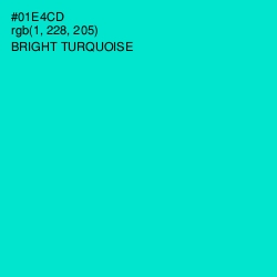 #01E4CD - Bright Turquoise Color Image