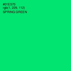 #01E570 - Spring Green Color Image