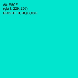 #01E5CF - Bright Turquoise Color Image