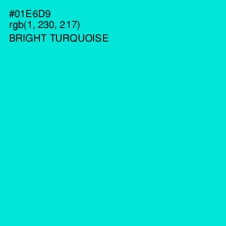 #01E6D9 - Bright Turquoise Color Image