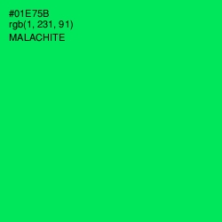 #01E75B - Malachite Color Image