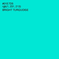 #01E7D5 - Bright Turquoise Color Image