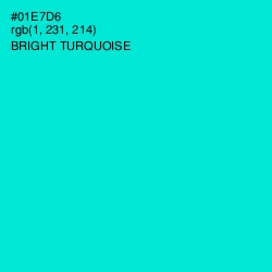 #01E7D6 - Bright Turquoise Color Image