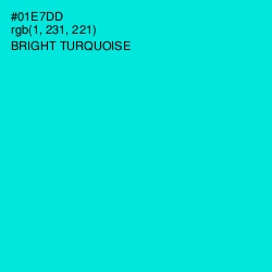 #01E7DD - Bright Turquoise Color Image