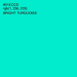 #01ECCD - Bright Turquoise Color Image