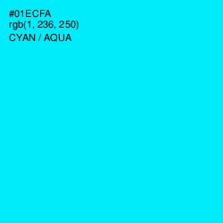 #01ECFA - Cyan / Aqua Color Image