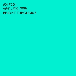 #01F0D1 - Bright Turquoise Color Image