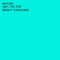 #01F0DF - Bright Turquoise Color Image
