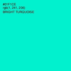 #01F1CE - Bright Turquoise Color Image