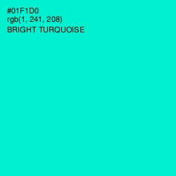 #01F1D0 - Bright Turquoise Color Image