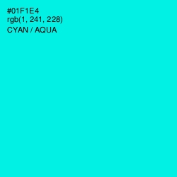 #01F1E4 - Cyan / Aqua Color Image