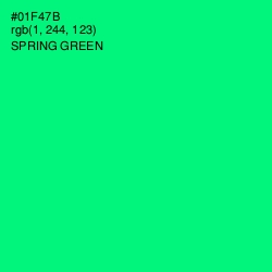 #01F47B - Spring Green Color Image