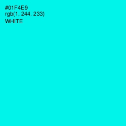 #01F4E9 - Cyan / Aqua Color Image