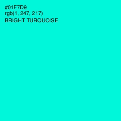 #01F7D9 - Bright Turquoise Color Image