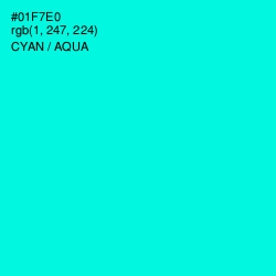#01F7E0 - Cyan / Aqua Color Image