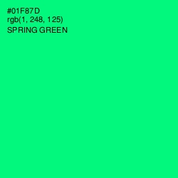 #01F87D - Spring Green Color Image