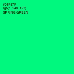 #01F87F - Spring Green Color Image