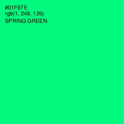 #01F97E - Spring Green Color Image