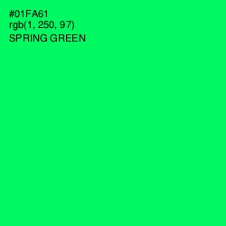 #01FA61 - Spring Green Color Image