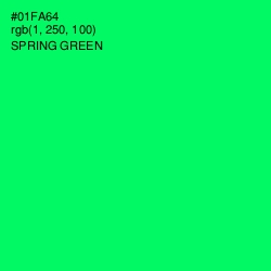 #01FA64 - Spring Green Color Image