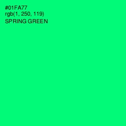 #01FA77 - Spring Green Color Image