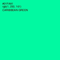 #01FAA1 - Caribbean Green Color Image