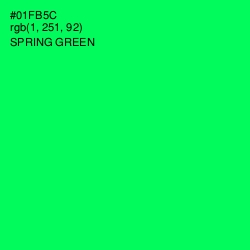 #01FB5C - Spring Green Color Image