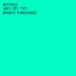 #01FBC5 - Bright Turquoise Color Image