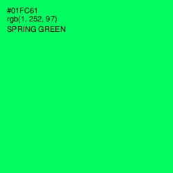 #01FC61 - Spring Green Color Image