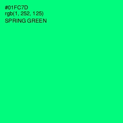 #01FC7D - Spring Green Color Image