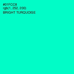 #01FCC8 - Bright Turquoise Color Image