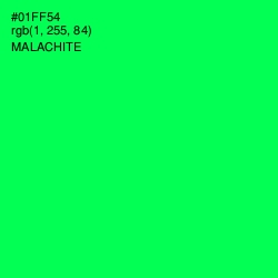 #01FF54 - Malachite Color Image
