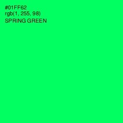 #01FF62 - Spring Green Color Image