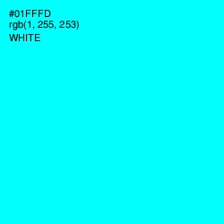 #01FFFD - Cyan / Aqua Color Image