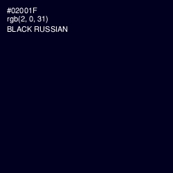 #02001F - Black Russian Color Image