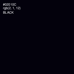 #02010C - Black Color Image