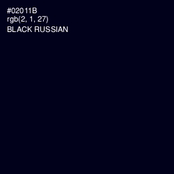 #02011B - Black Russian Color Image