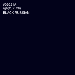 #02021A - Black Russian Color Image