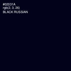 #02031A - Black Russian Color Image