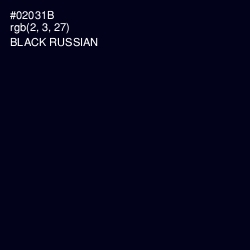 #02031B - Black Russian Color Image