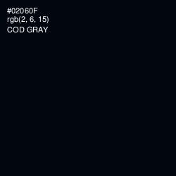 #02060F - Cod Gray Color Image