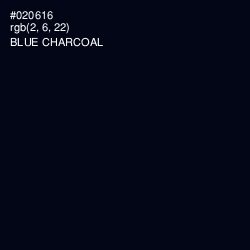 #020616 - Blue Charcoal Color Image