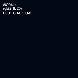 #020814 - Blue Charcoal Color Image