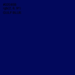 #02085B - Gulf Blue Color Image