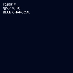 #02091F - Blue Charcoal Color Image