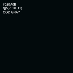 #020A0B - Cod Gray Color Image